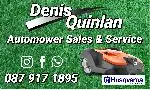 Denis Quinlan Automower Sales