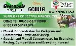 Greenvale Animal Feeds