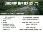 Dundrum Nurseries