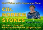 Cllr Noreen Stokes.jpeg